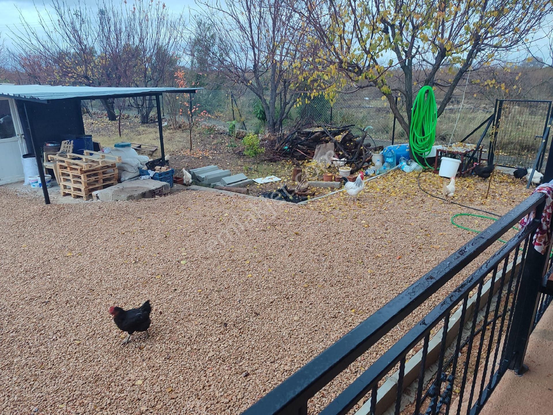 Kepezde Satılık Tarıma Elverişli Arsa - Görsel 25