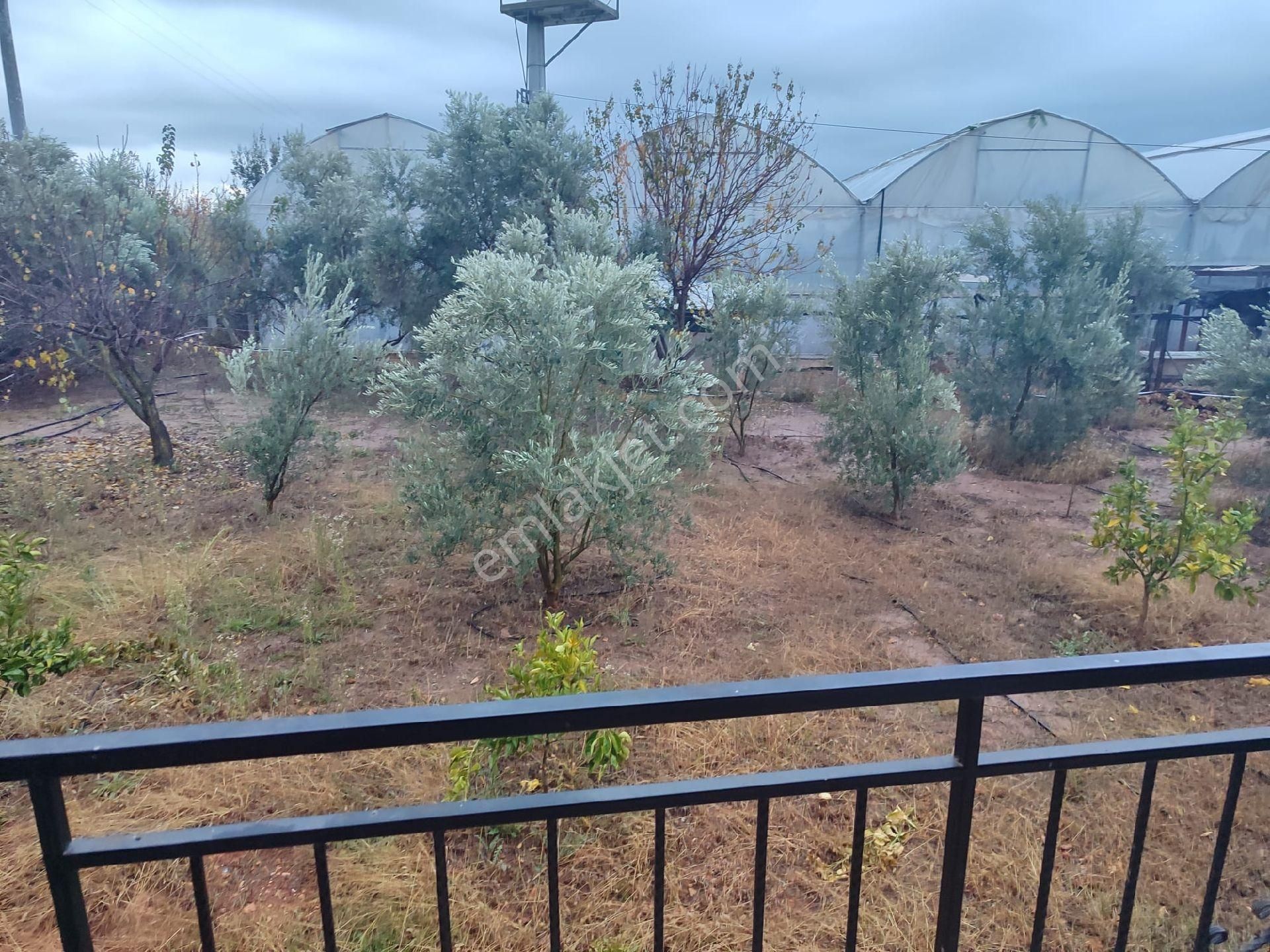 Kepezde Satılık Tarıma Elverişli Arsa - Görsel 22