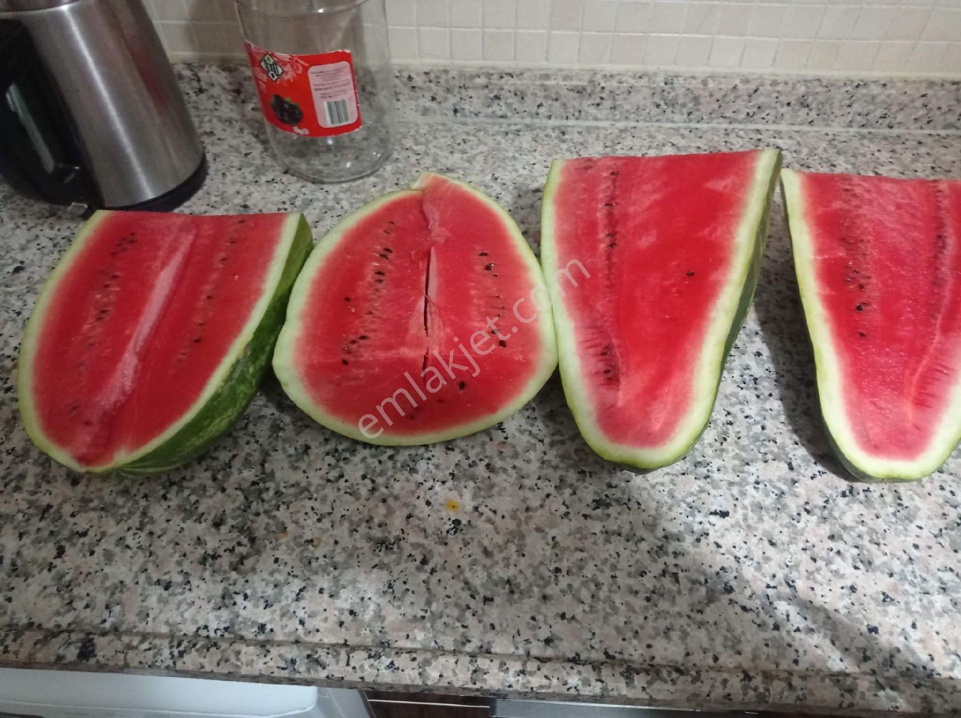 Kepezde Satılık Tarıma Elverişli Arsa - Görsel 11