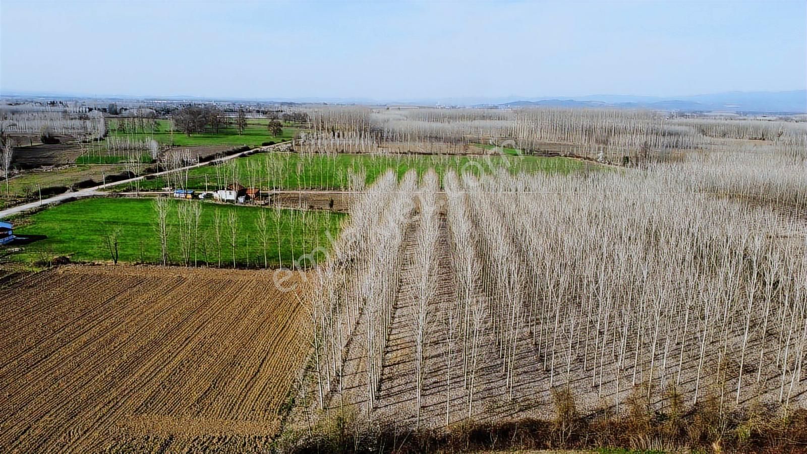 Yön Group'tan Kabakulak'ta Satılık Kavaklık - Görsel 3