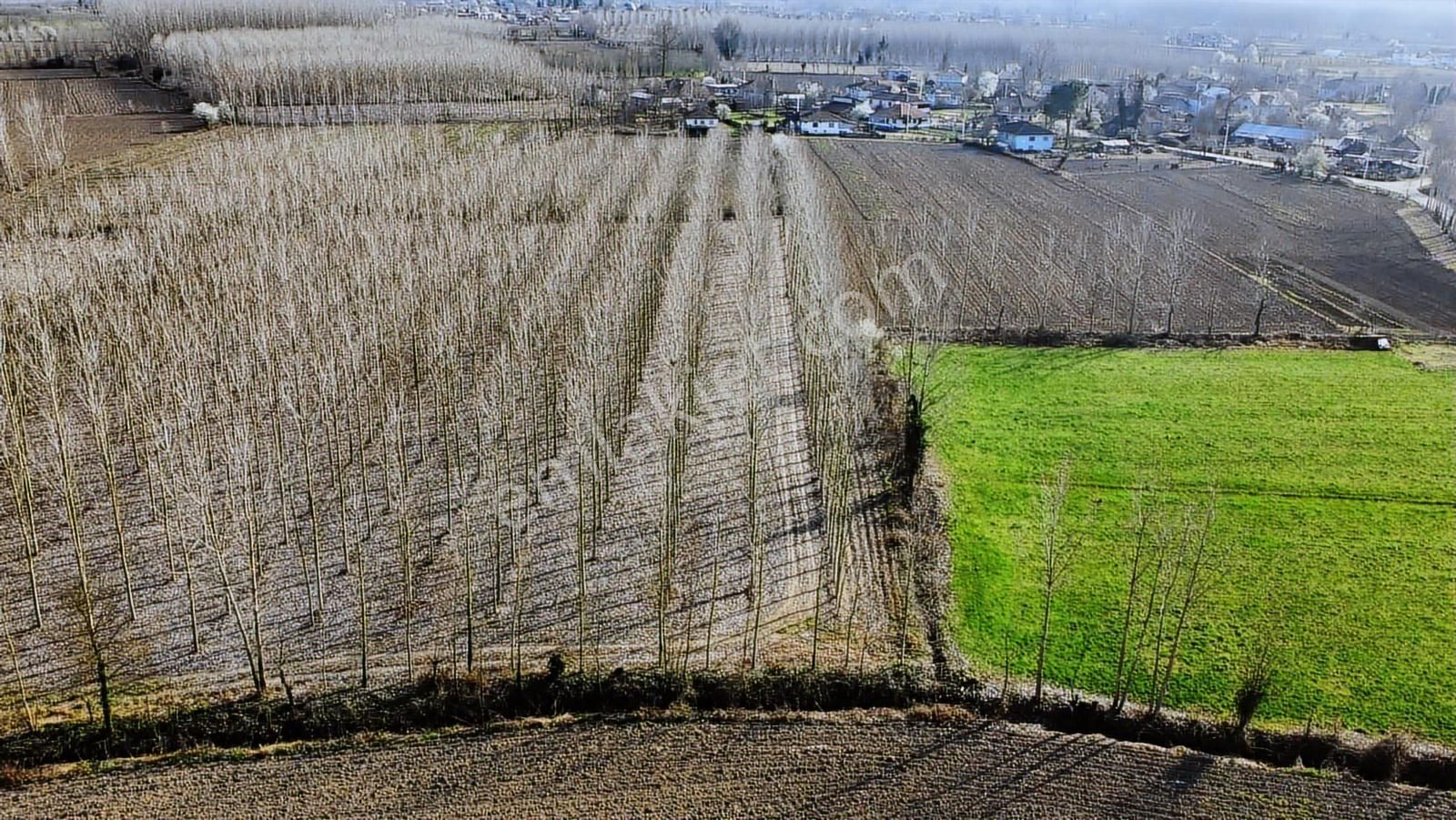 Yön Group'tan Kabakulak'ta Satılık Kavaklık - Görsel 9