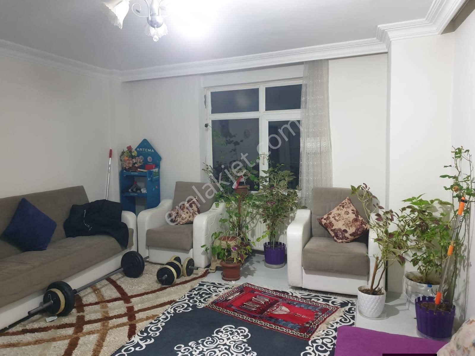 Samsun İlkadım Saitbey Mahallesi'nde - Görsel 2