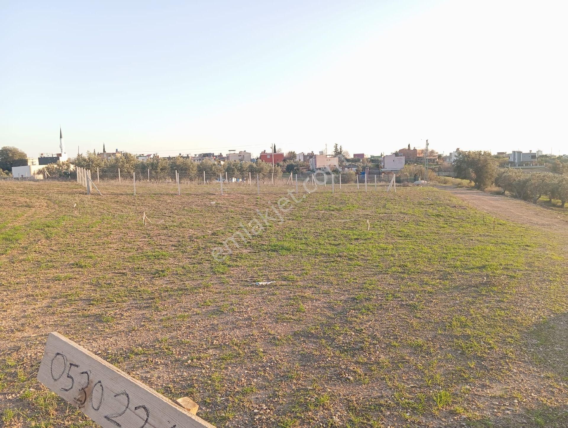 Villlalık Arsa - Görsel 5