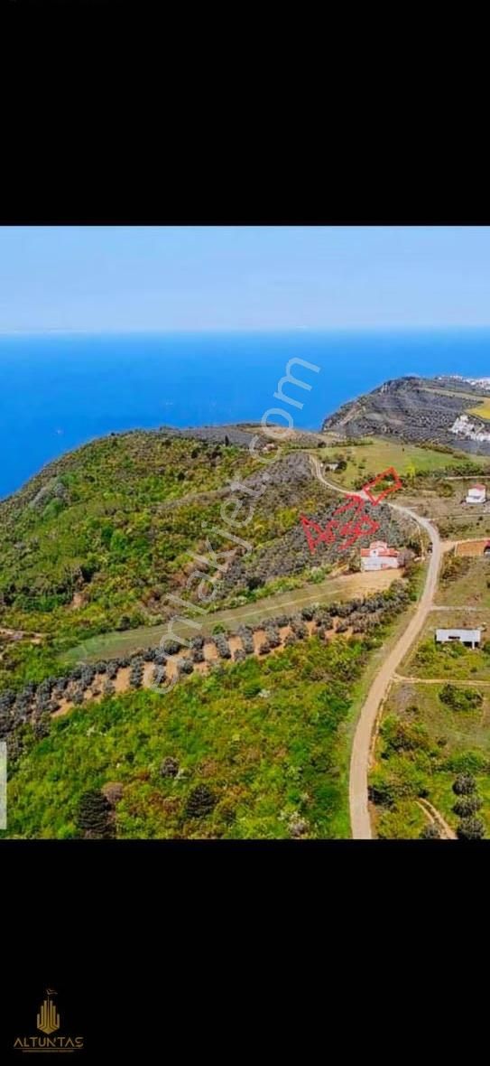 Çınarcık Şenköyde İhtiyaçtan Dolayı Acil Satılık Arsa - Görsel 3