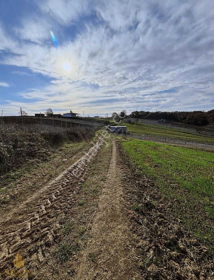 Altuntaş'tan Kandıra Sepetçide Konumu Degerli Satılık Tarla