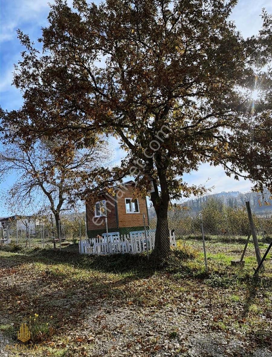Altuntaş'tan Kandıra Sepetçide Konumu Degerli Satılık Tarla - Görsel 7
