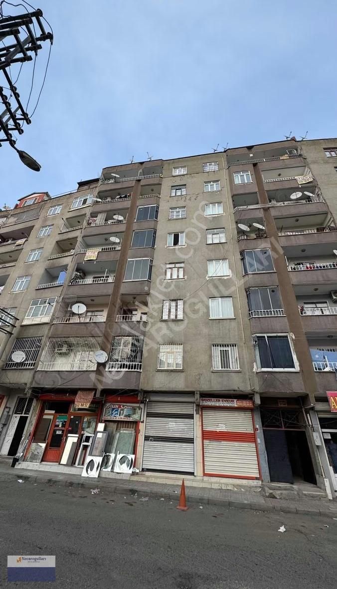 Necaroğullarından Cezaevi Üst Köşede Bakımlı 3+1 Daire - Görsel 11