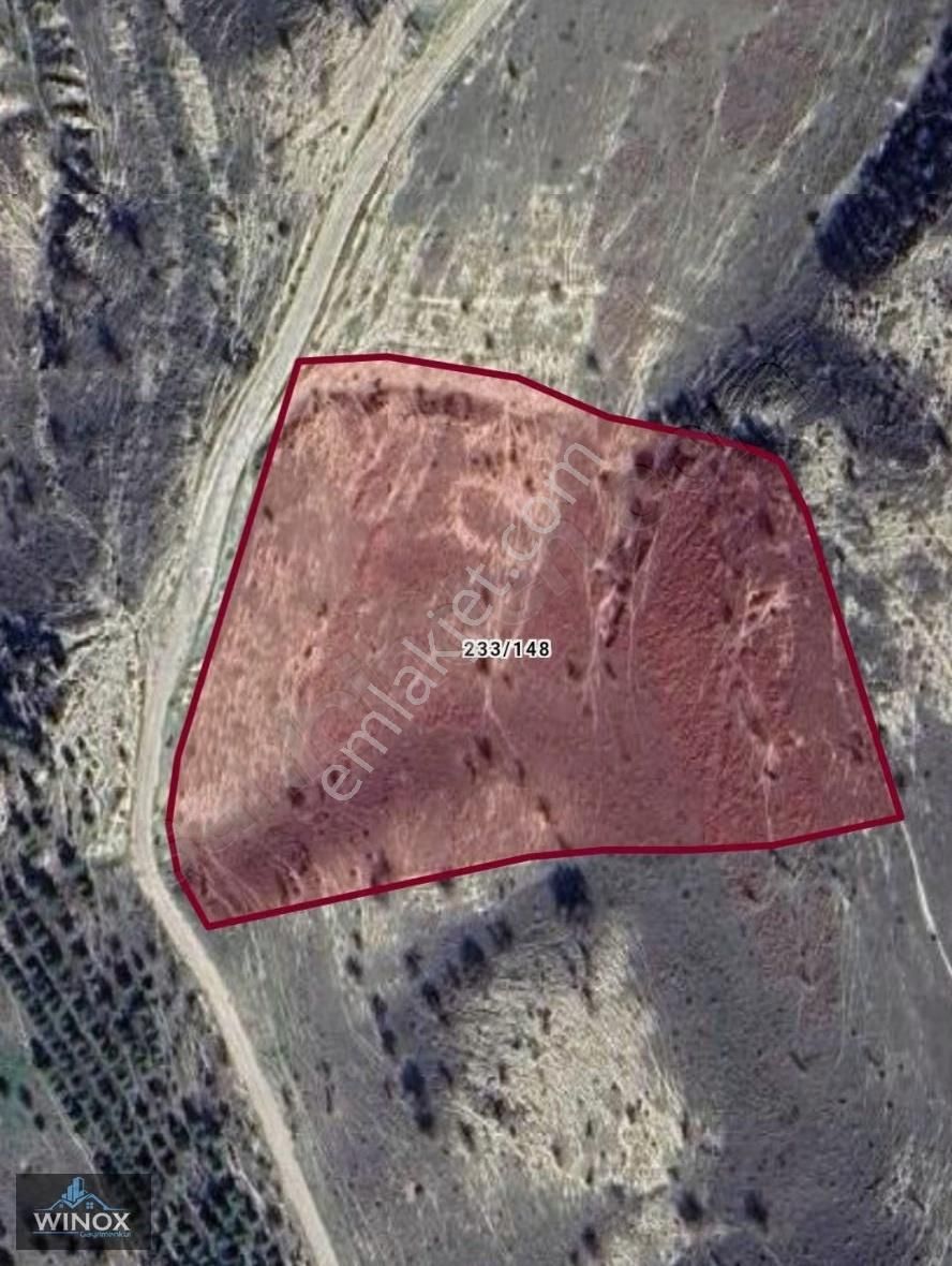 Denizli, Merkezefendi, Yesilyayla Da Fırsat Satılık Tarla