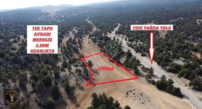 Yavuz'dan Harfillide Satılık 2766m2 Tek Tapu Tarla - Görsel 3