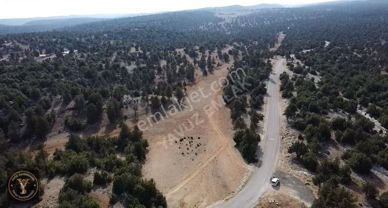 Yavuz'dan Harfillide Satılık 2766m2 Tek Tapu Tarla - Görsel 5