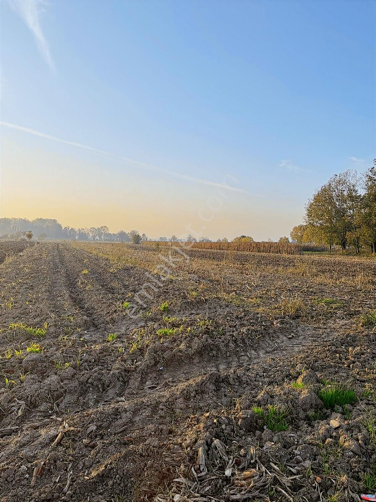 Yön Group'tan Hendek Su Kenarı Fırsat Fiyat Satılık Tarla - Görsel 7