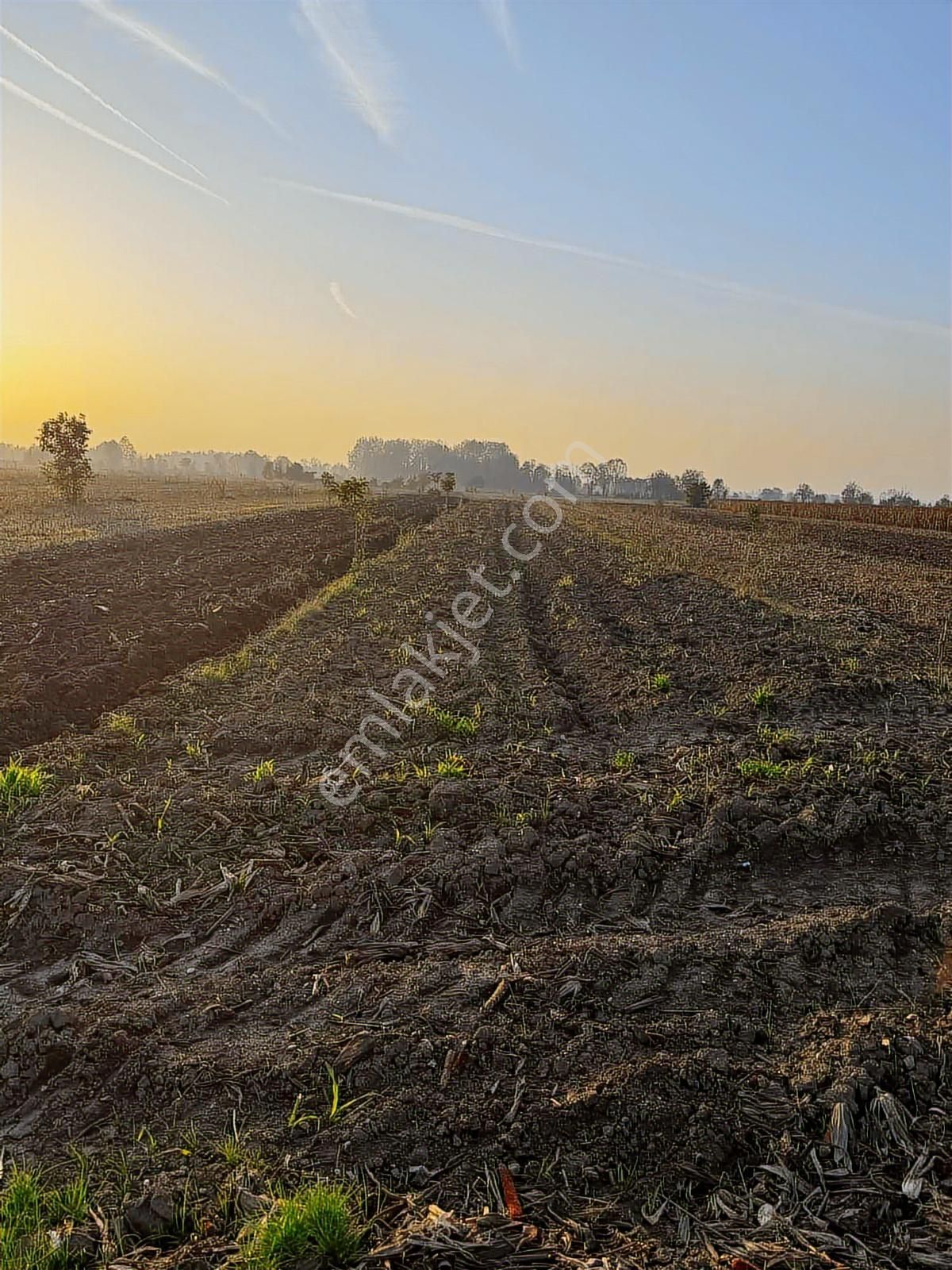 Yön Group'tan Hendek Su Kenarı Fırsat Fiyat Satılık Tarla - Görsel 5