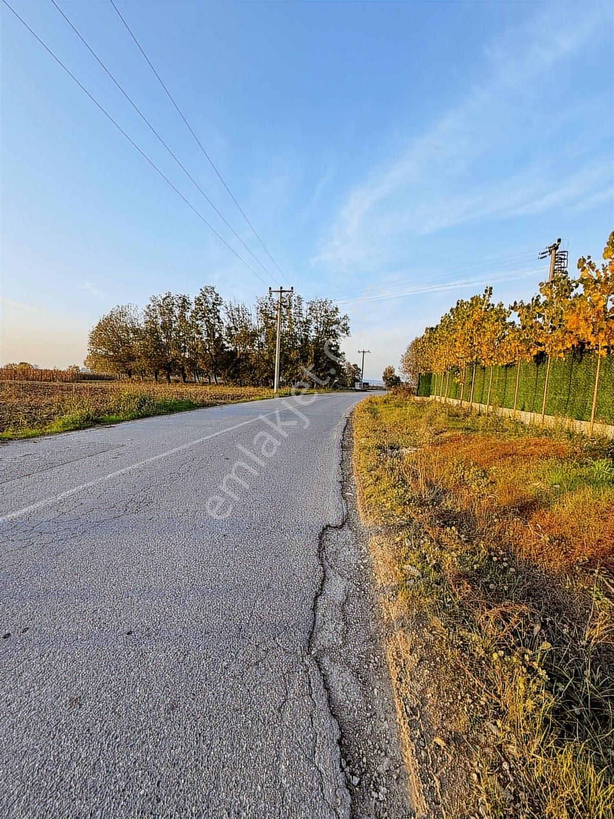 Yön Group'tan Hendek Su Kenarı Fırsat Fiyat Satılık Tarla - Görsel 3