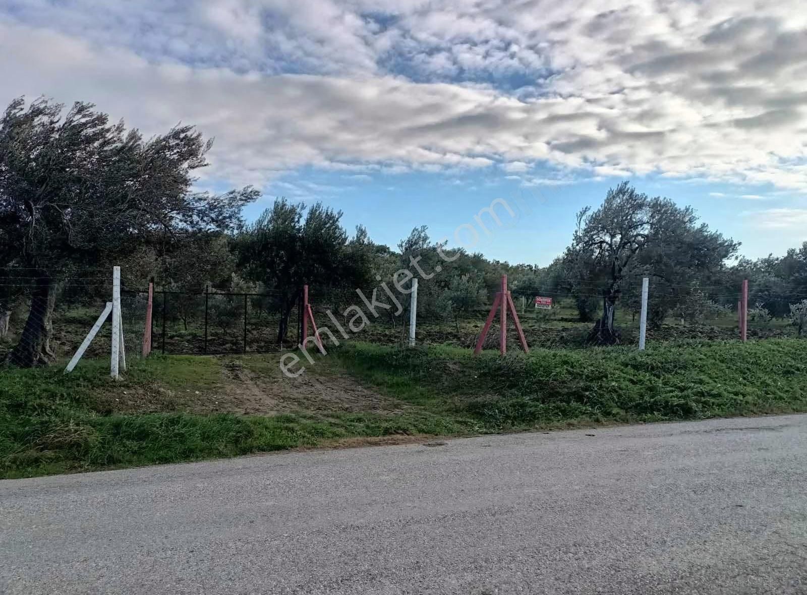 Akhisar Sünnetçiler Asfala Sıfır Konumda - Görsel 15