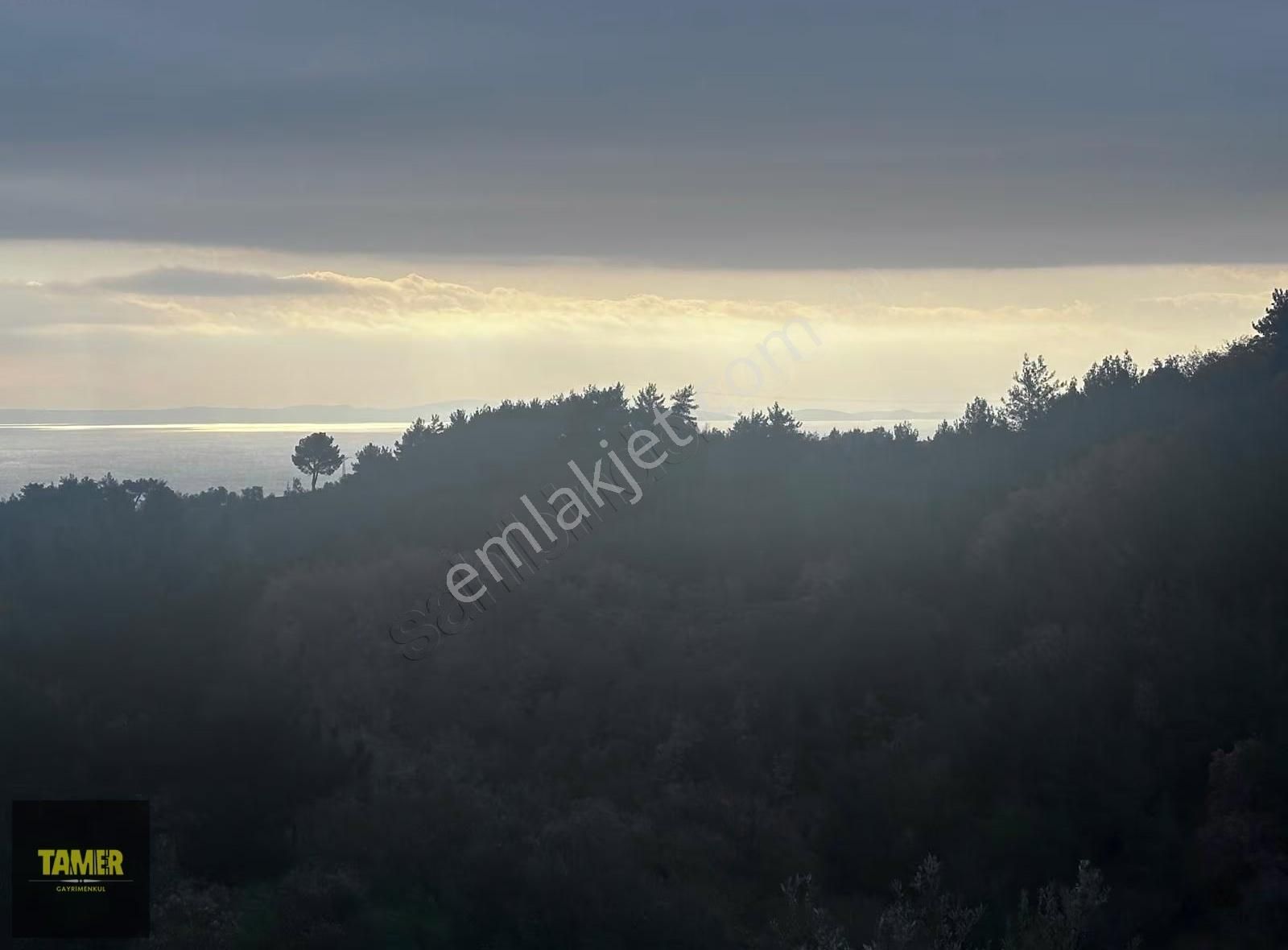 Tamer'den Çetmibaşında Doğa Ve Deniz Manzaralı Satılık Tarla - Görsel 8