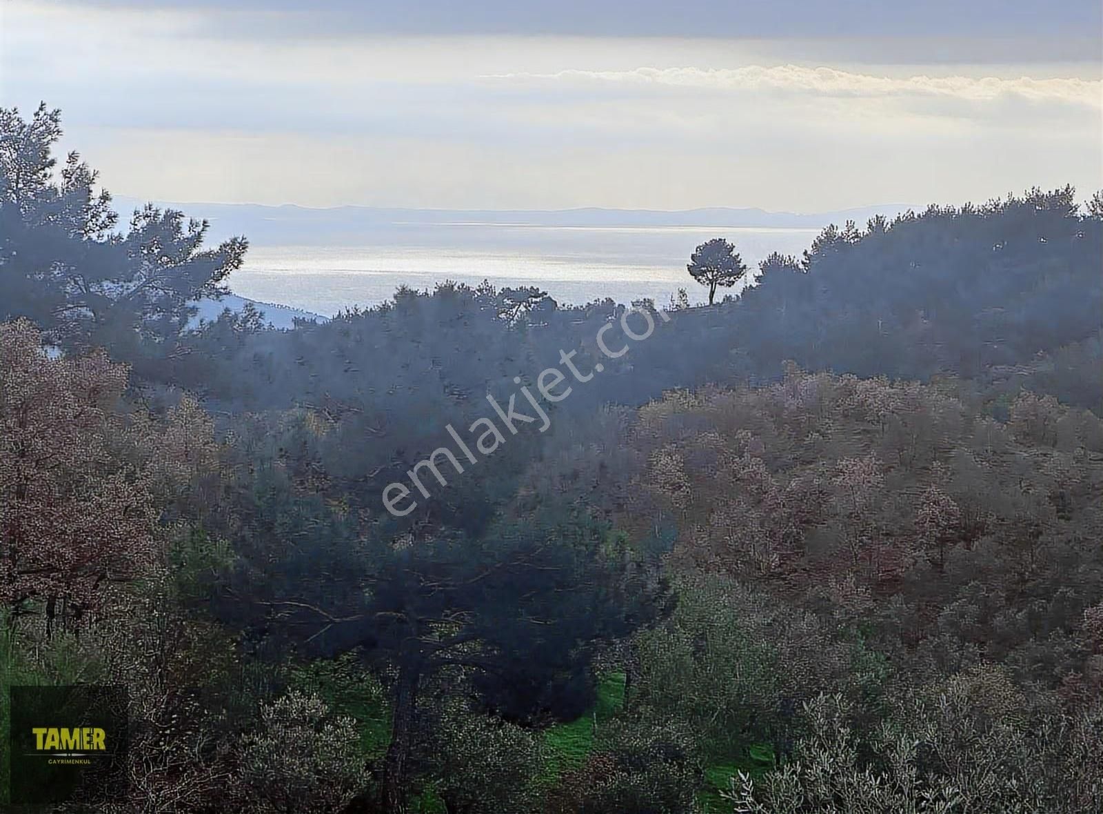 Tamer'den Çetmibaşında Doğa Ve Deniz Manzaralı Satılık Tarla - Görsel 14