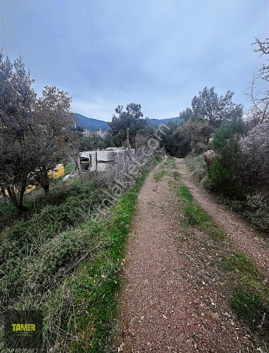 Tamer'den Çetmibaşında Doğa Ve Deniz Manzaralı Satılık Tarla - Görsel 9