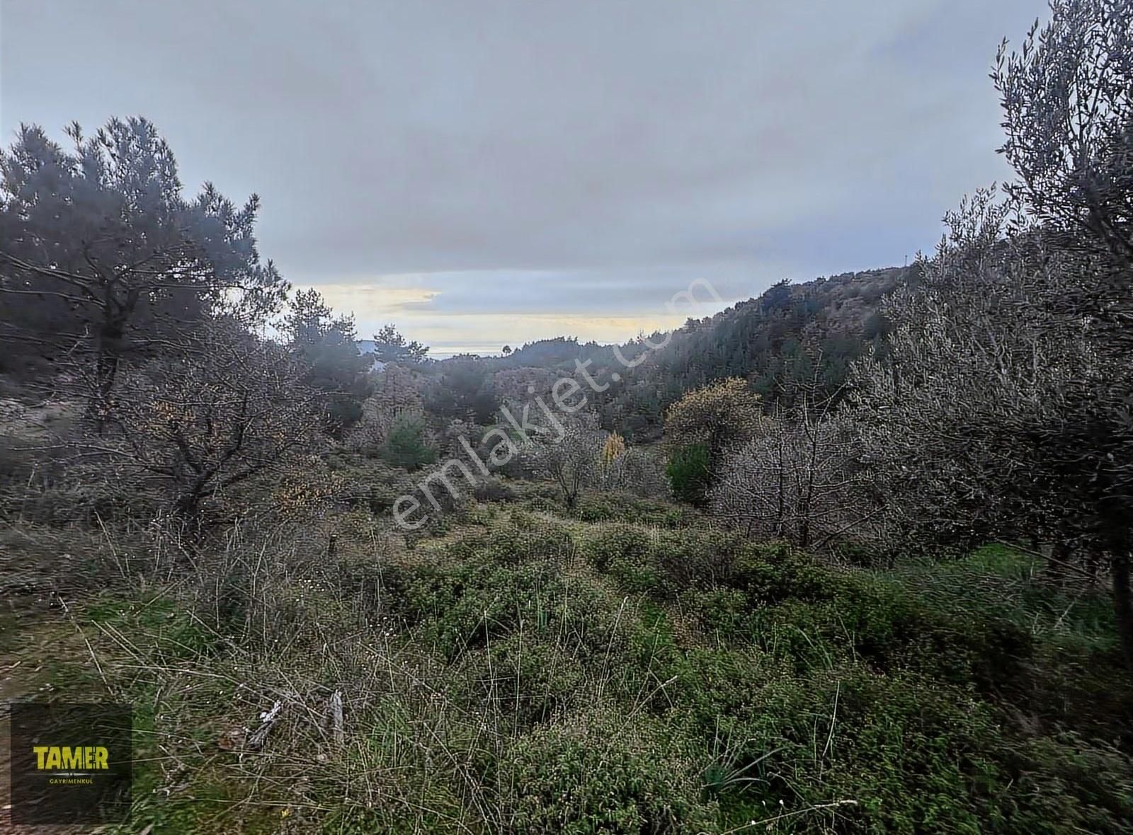 Tamer'den Çetmibaşında Doğa Ve Deniz Manzaralı Satılık Tarla - Görsel 13