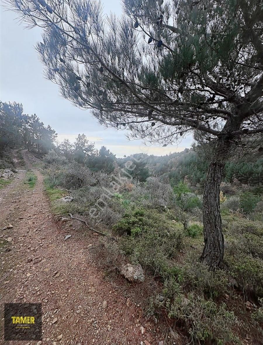 Tamer'den Çetmibaşında Doğa Ve Deniz Manzaralı Satılık Tarla - Görsel 10