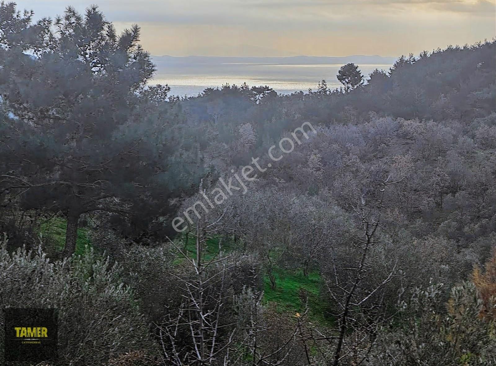 Tamer'den Çetmibaşında Doğa Ve Deniz Manzaralı Satılık Tarla - Görsel 7