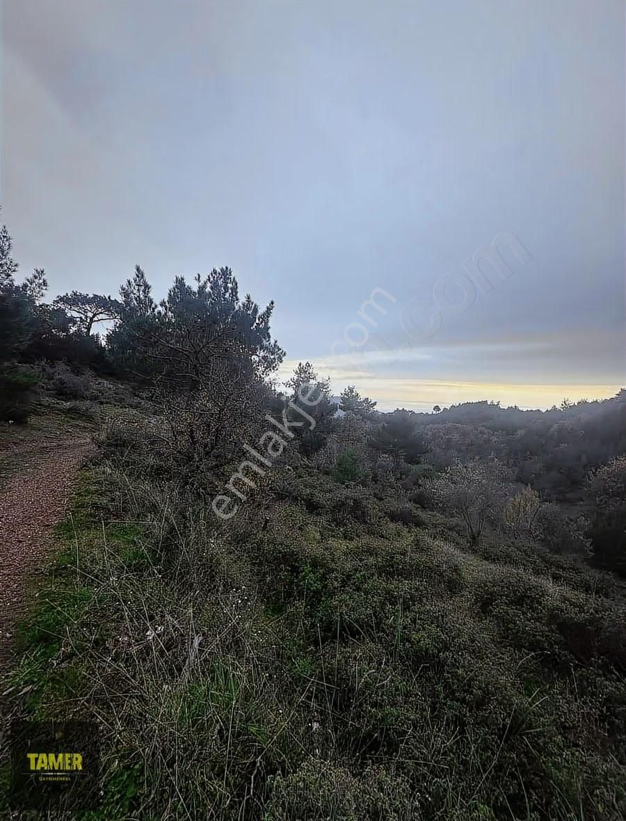 Tamer'den Çetmibaşında Doğa Ve Deniz Manzaralı Satılık Tarla - Görsel 22