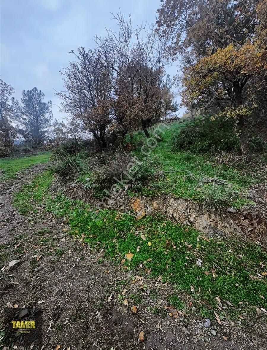 Tamer'den Çetmibaşında Doğa Ve Deniz Manzaralı Satılık Tarla - Görsel 2