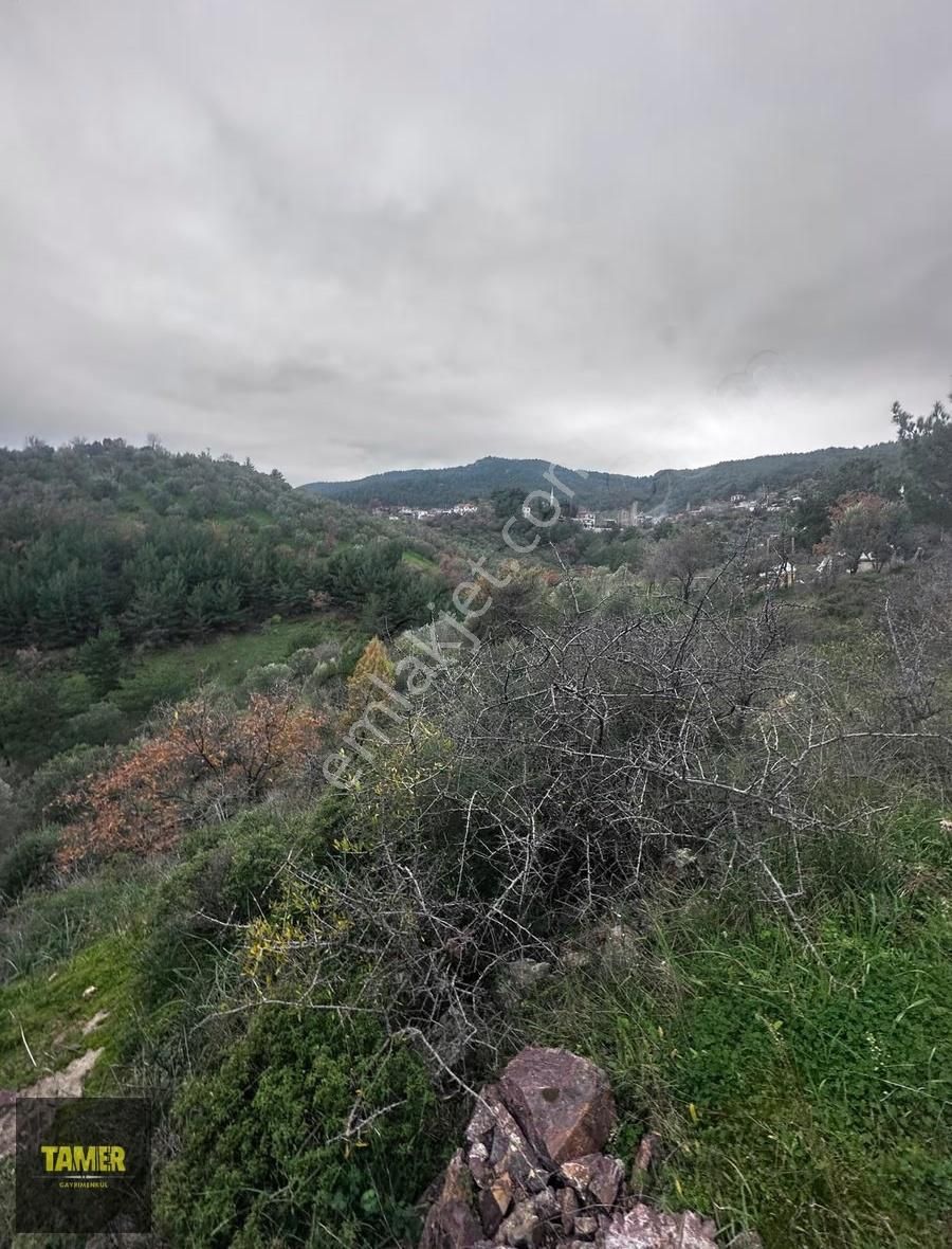 Tamer'den Çetmibaşında Doğa Ve Deniz Manzaralı Satılık Tarla - Görsel 20