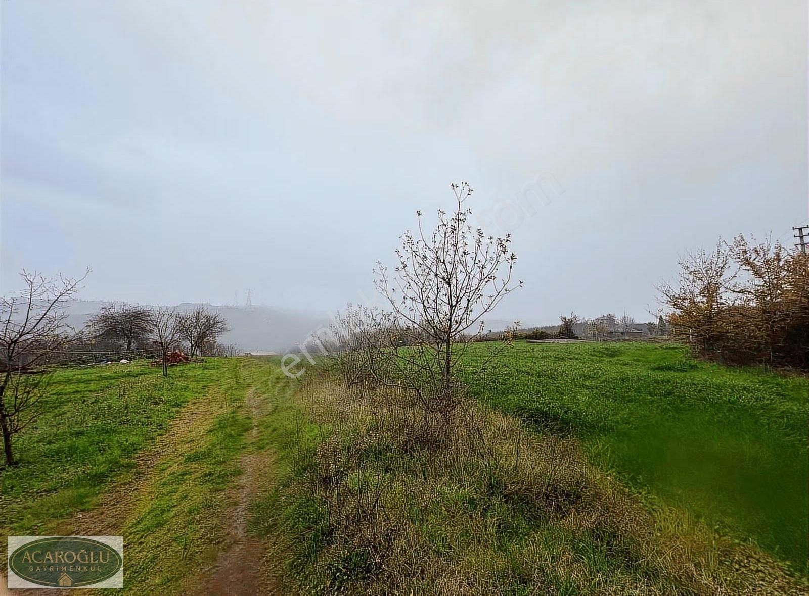 Sakarya Ferizli Ceylandere 6.660 M² Müstakil Tapulu Bahçe - Görsel 7