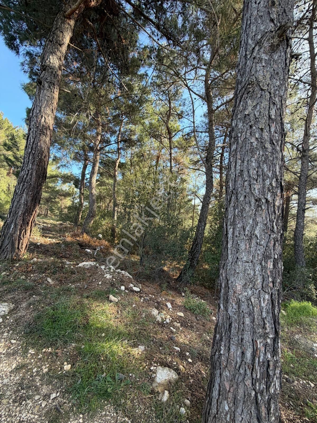 İzmir Bornova Yakaköyde Konteynerli Satılık Bahçe - Görsel 13