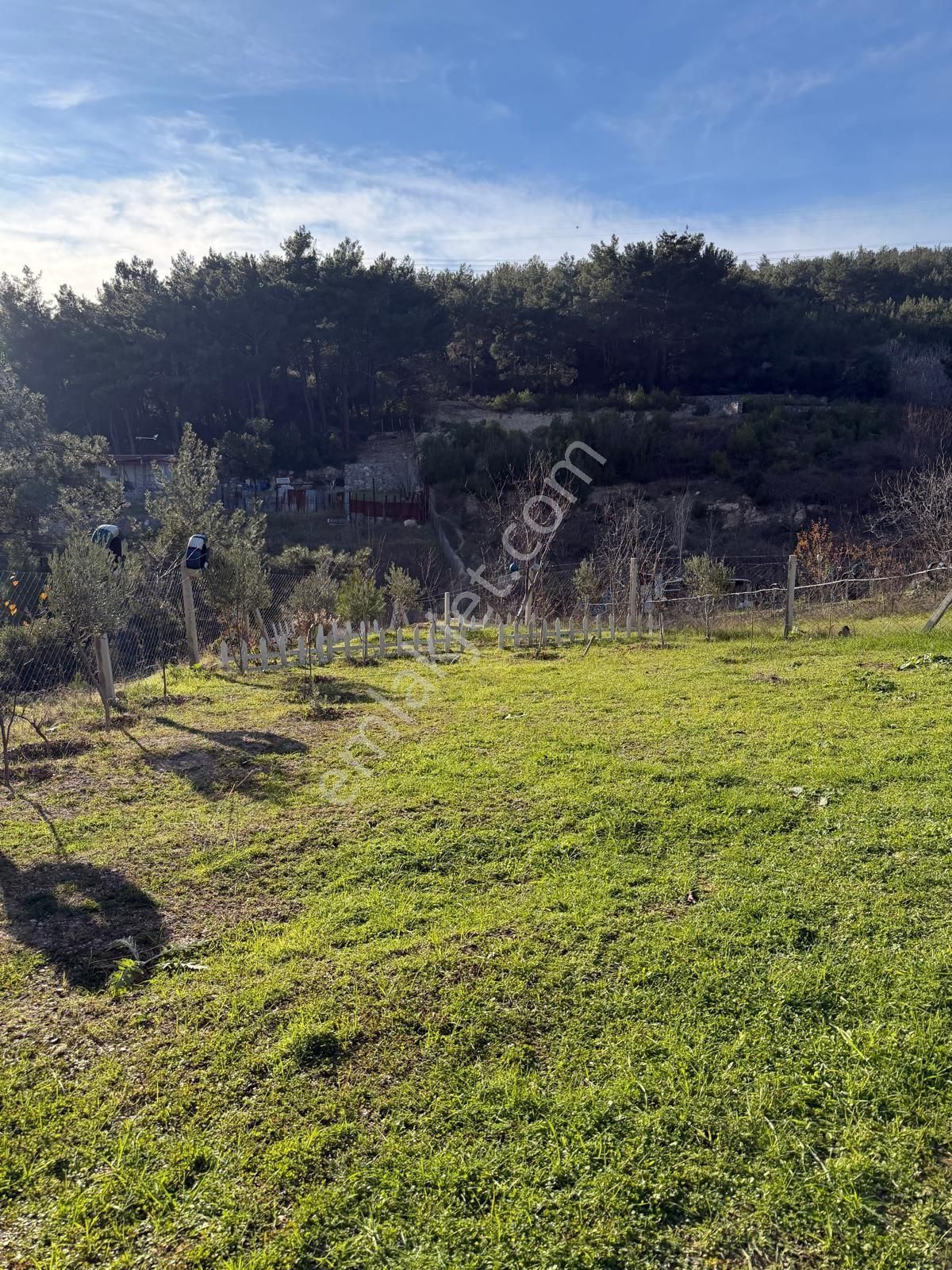 İzmir Bornova Yakaköyde Konteynerli Satılık Bahçe - Görsel 5