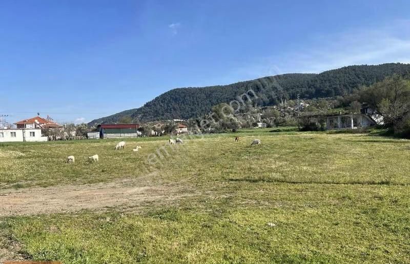 Gw Vista'dan Gökpınar'da Eşsiz Doğa Ve Lokasyon & İmarlı Parsel - Görsel 4