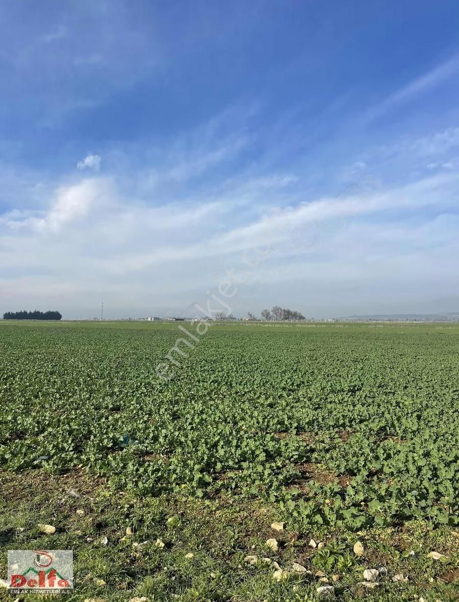 Delfa Yapı İnşaat Tan Satılık Vila İmarlı Arsa 400m2 Acil - Görsel 2