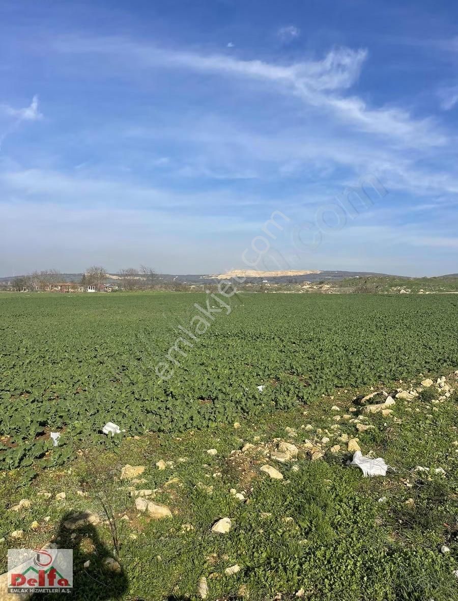 Delfa Yapı İnşaat Tan Satılık Vila İmarlı Arsa 400m2 Acil - Görsel 6