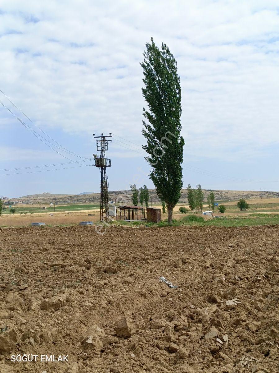 Söğüt Emlak'tan Çalışlar Da Satılık Salatalık Tarlası - Görsel 5