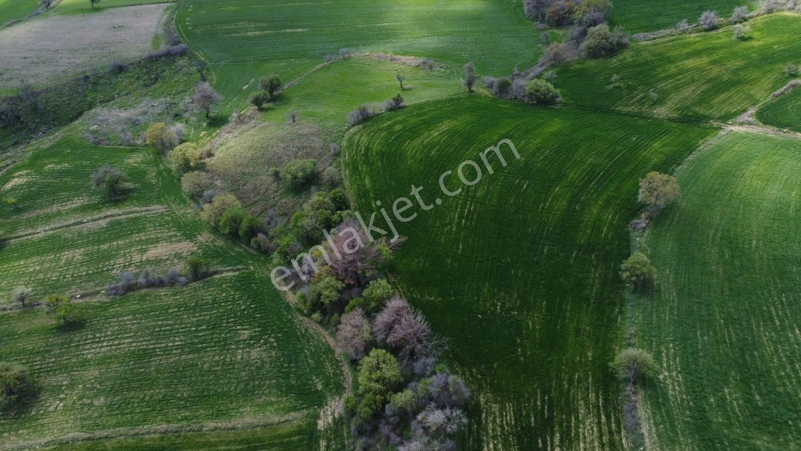 Çanakkale Merkez Ulupınar Da Satılık Tarla - Görsel 5