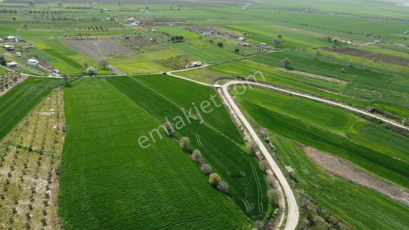 Boğaza Nazır Kupon Arazi Yol Su Elektirik Mevcut Musaköy - Görsel 3