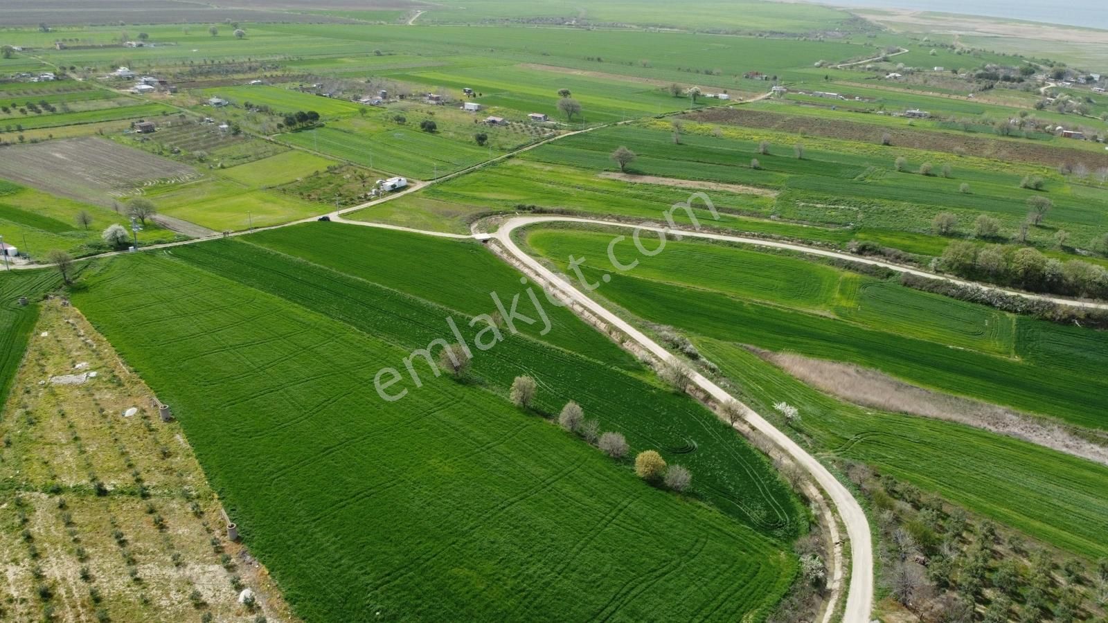 Boğaza Nazır Kupon Arazi Yol Su Elektirik Mevcut Musaköy - Görsel 28