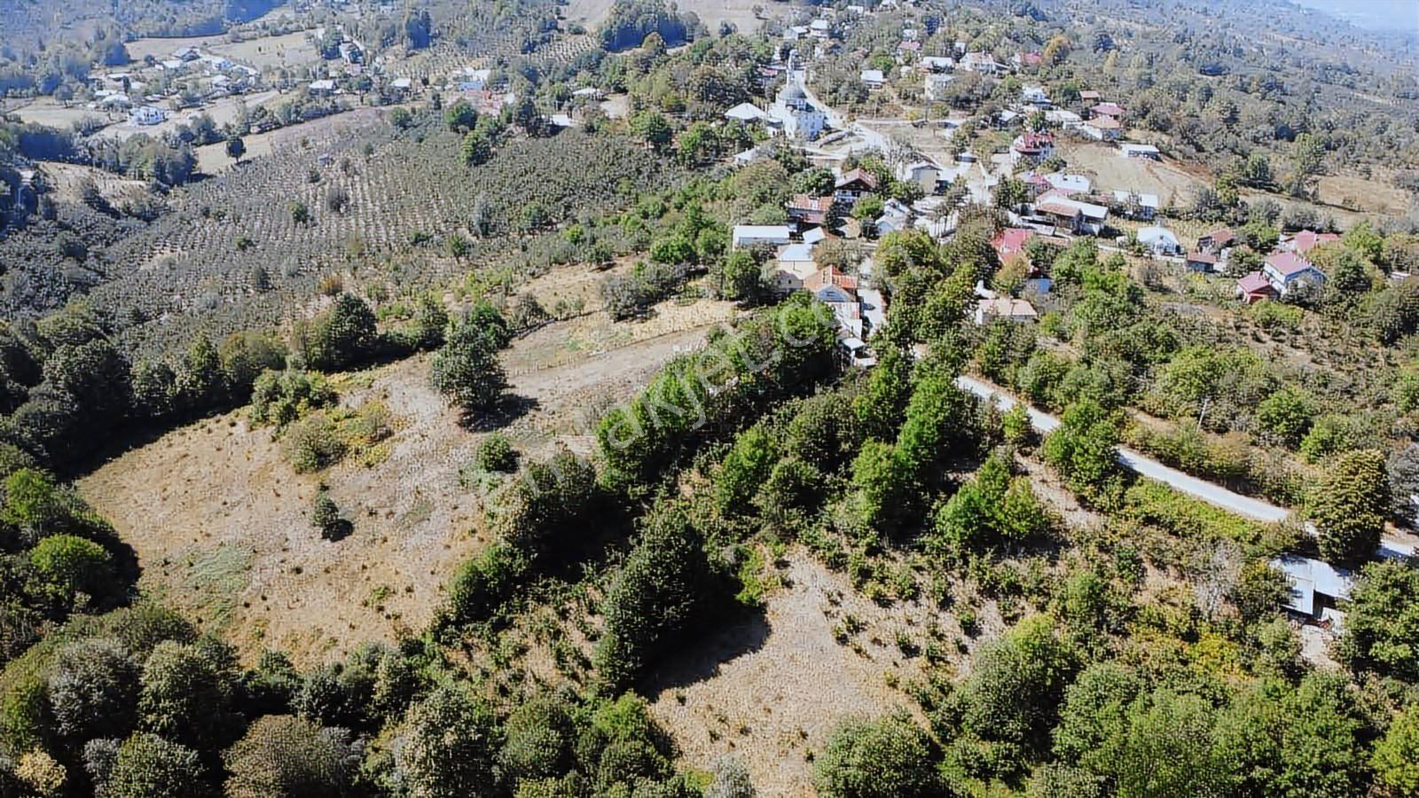 Ruşen Aydın Gyd'dan Kaynaşlı /dipsizgöl Köyünde Satılık Arsa - Görsel 12