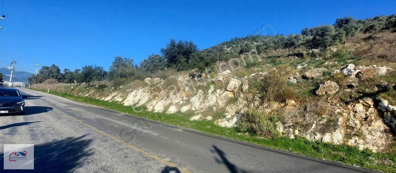 Muğla Milas Karakuyu Mah. Satılık Zeytinlik 14.000m²