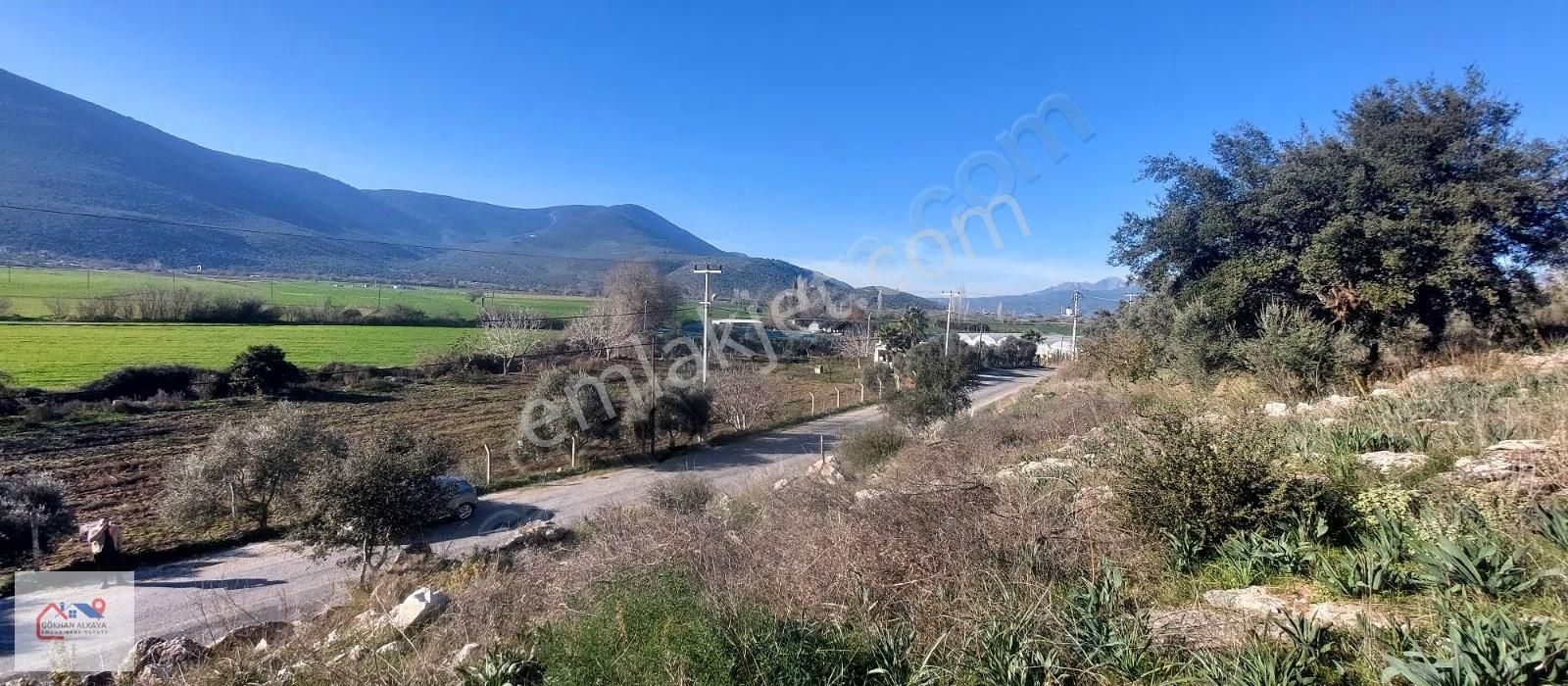 Muğla Milas Karakuyu Mah. Satılık Zeytinlik 14.000m² - Görsel 19