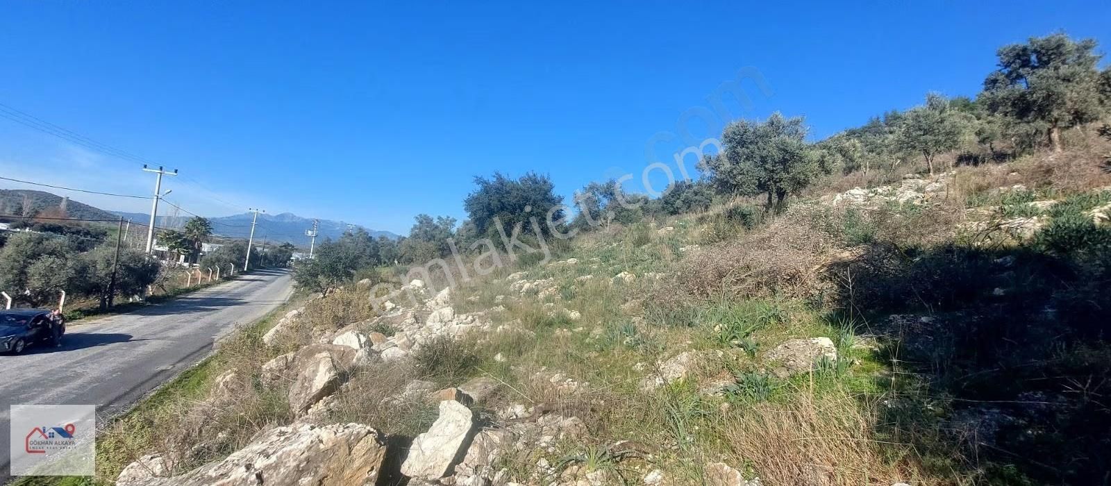 Muğla Milas Karakuyu Mah. Satılık Zeytinlik 14.000m² - Görsel 16