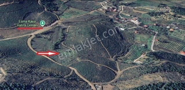 İzmir Bucada Yatırımlık Arsa Fırsat Fiyata - Görsel 3