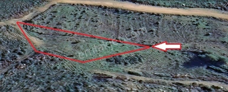 İzmir Bucada Yatırımlık Arsa Fırsat Fiyata - Görsel 6