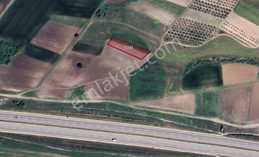 Hürriyet Köy Teknosaba Yakın Tek Tapu Yolu Olan Yatırımlık Arazi - Görsel 4