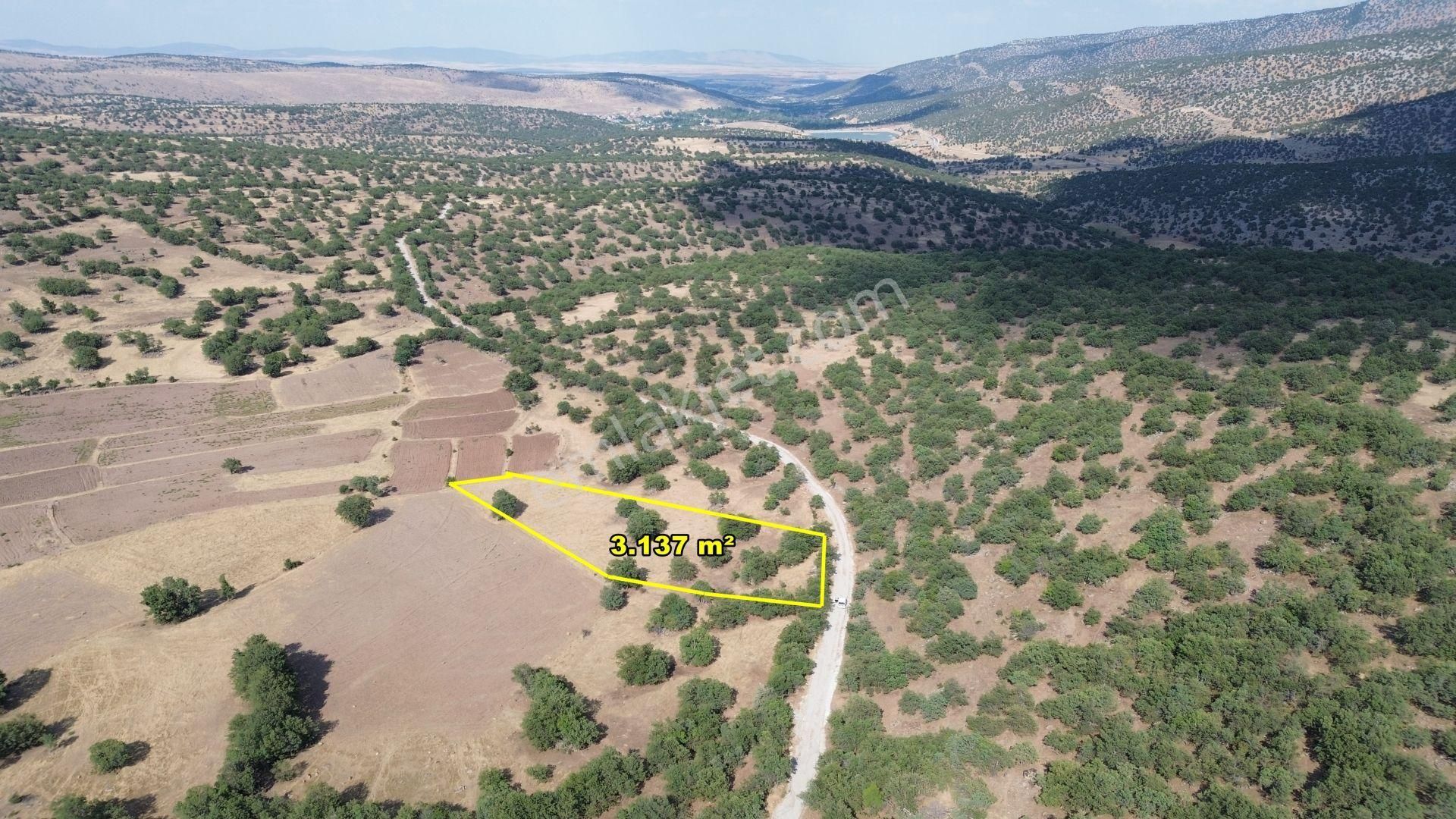 Meram Çukurçimende 3.137 M2 Müstakil Tapulu Tarla