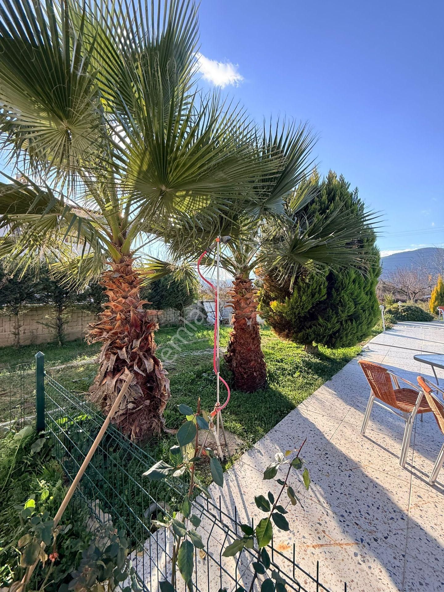 Muğla Yeşilyurt Kiralık Havuzlu 2+1 İkiz Müstakil Ev - Görsel 16