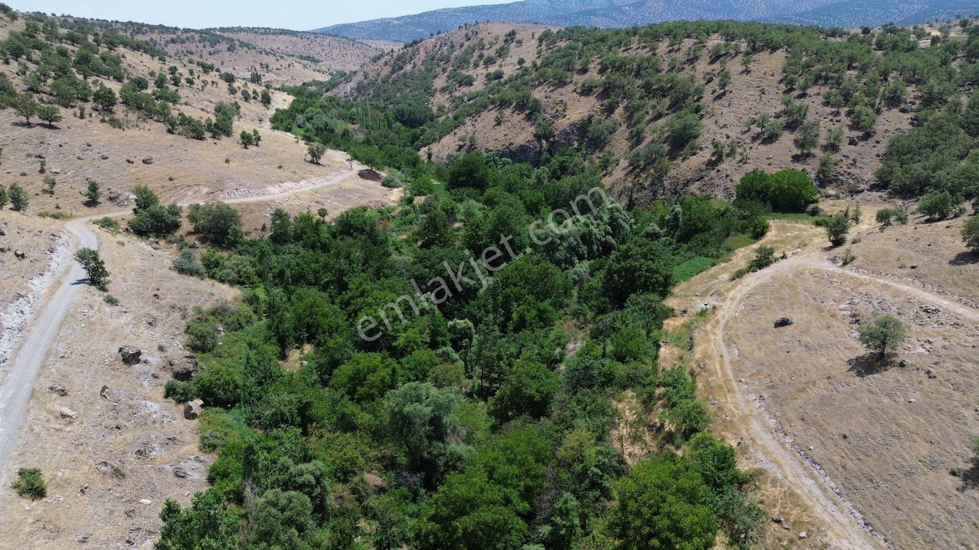 Meram Çukurçimen De 250 M2 Müstakil Tapulu Bahçe - Görsel 4