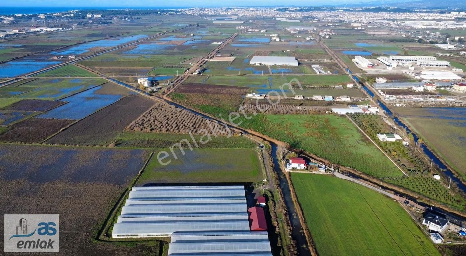 Ulu Alanda Kadastro Yola Sıfır 6525m2 Arazi - Görsel 3