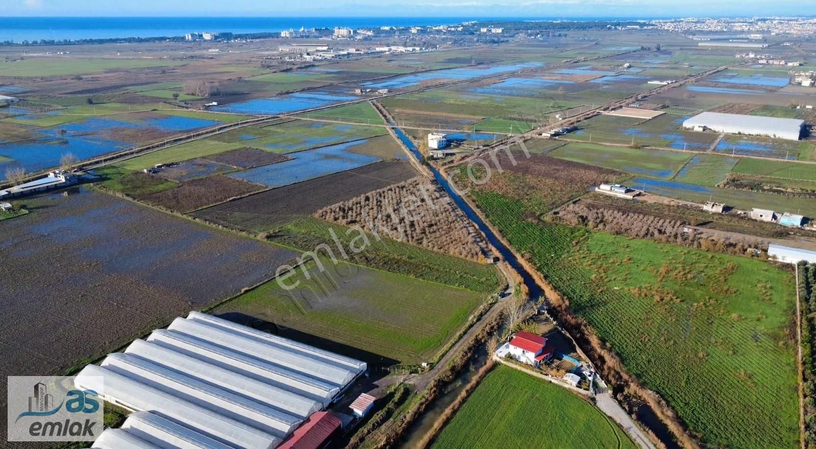 Ulu Alanda Kadastro Yola Sıfır 6525m2 Arazi