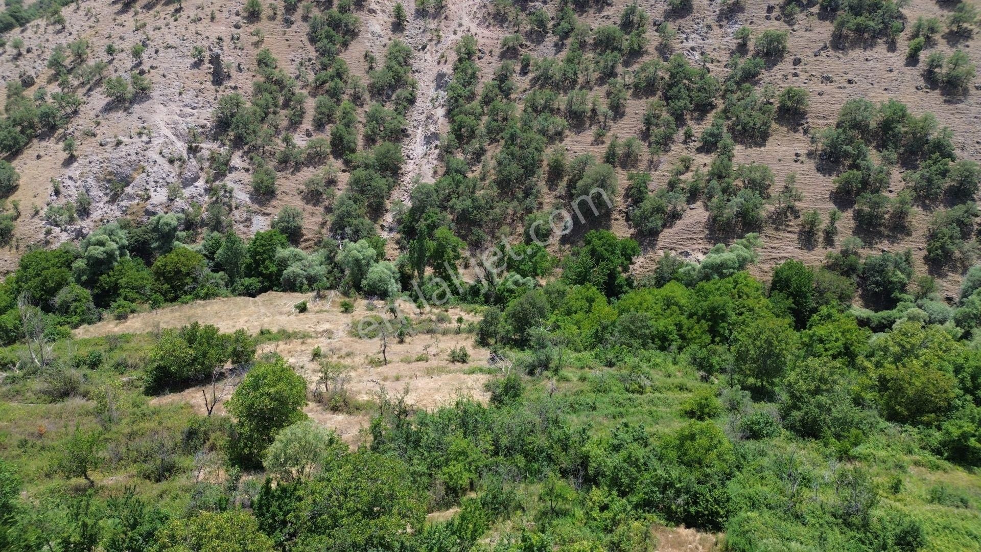 Meram Çukurçimen De 756 M2 Müstakil Tapulu Bahçe - Görsel 2
